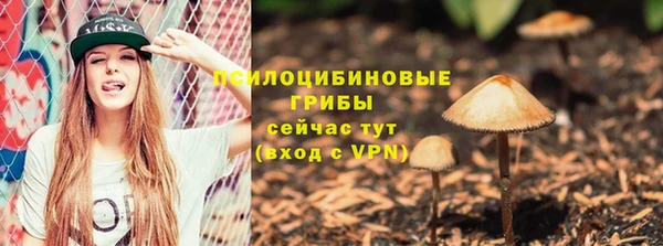 гидра Алзамай