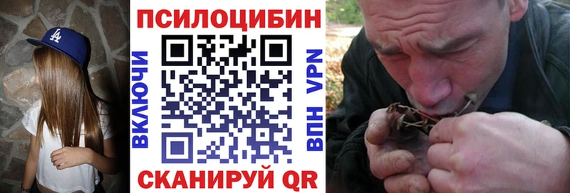 Купить закладки  Чегем  Псилоцибиновые грибы Magic Shrooms 
